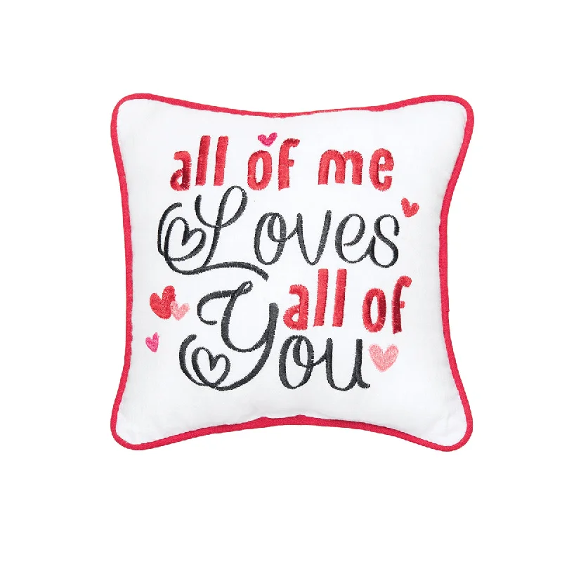 Travel Pillows for Long JourneysLoves All of You Mini Pillow